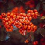 Rainy days II by CarlaSophia