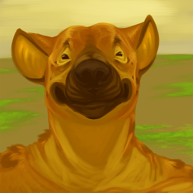 Hyena Portrait