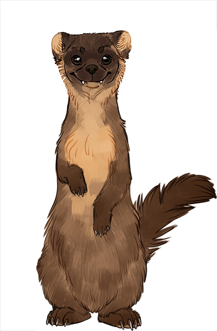 Pine Marten