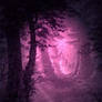 Purple Moonlight Forest