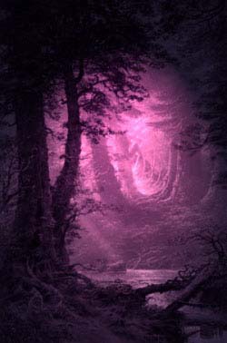 Purple Moonlight Forest