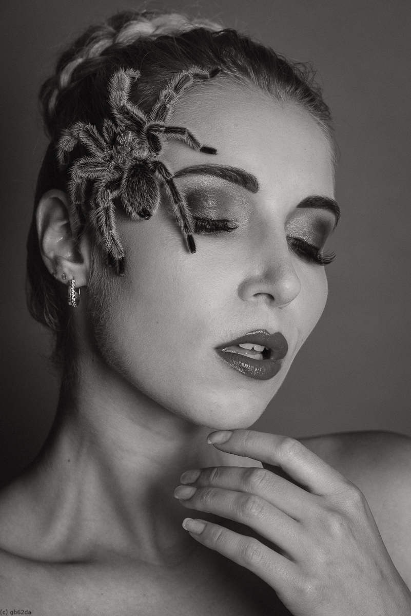 Even him wants to cuddle by gb62da on DeviantArt