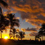 Luau