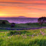 Pretty Colors
