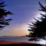 Coast