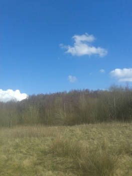 Springtime walks - Stoke-on-Trent, England.