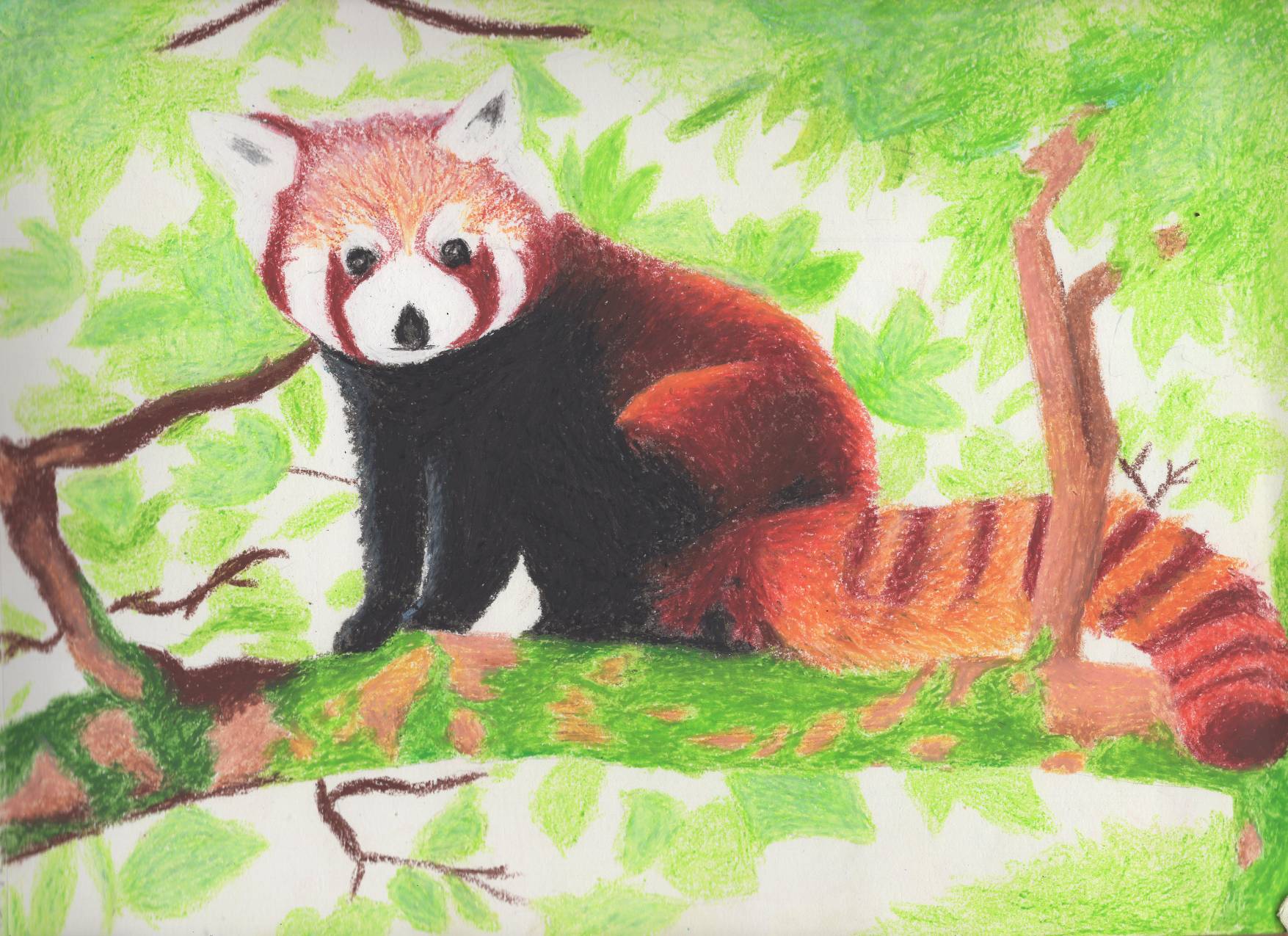 Red Panda By Laughingwithyou On Deviantart Red Panda By Laughingwithyou On Deviantart