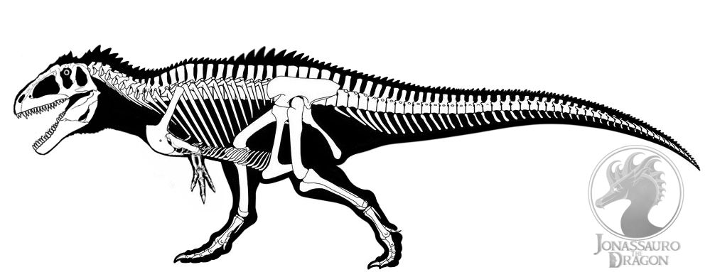 Jurassic World Dominion Giganotosaurus Skeleton by JonassaurotheDragon ...