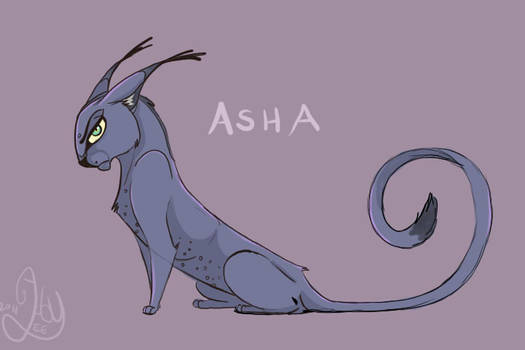 Asha - Revamped Design