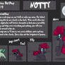 Notty the bat pony ref sheet