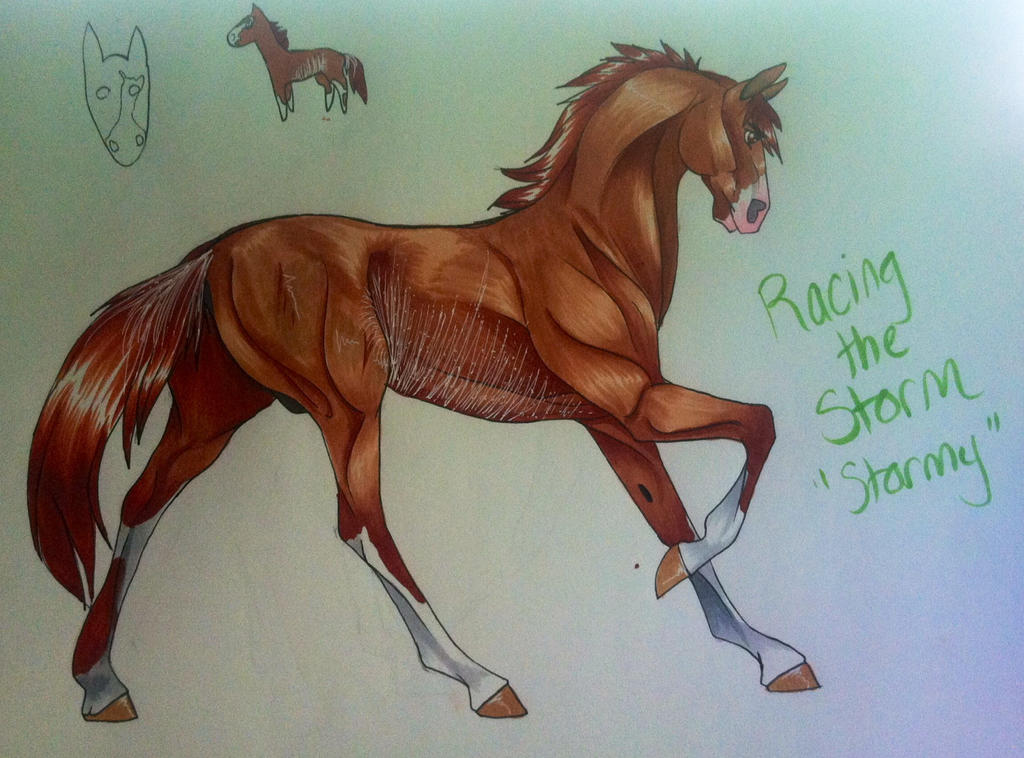 Racing the Storm -OLD REF