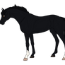 Belle Noire