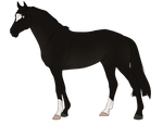 WBS Illumination by LightningWolf913