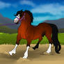Stubborn Does It | Lunging | Seize Command