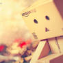 First Danbo