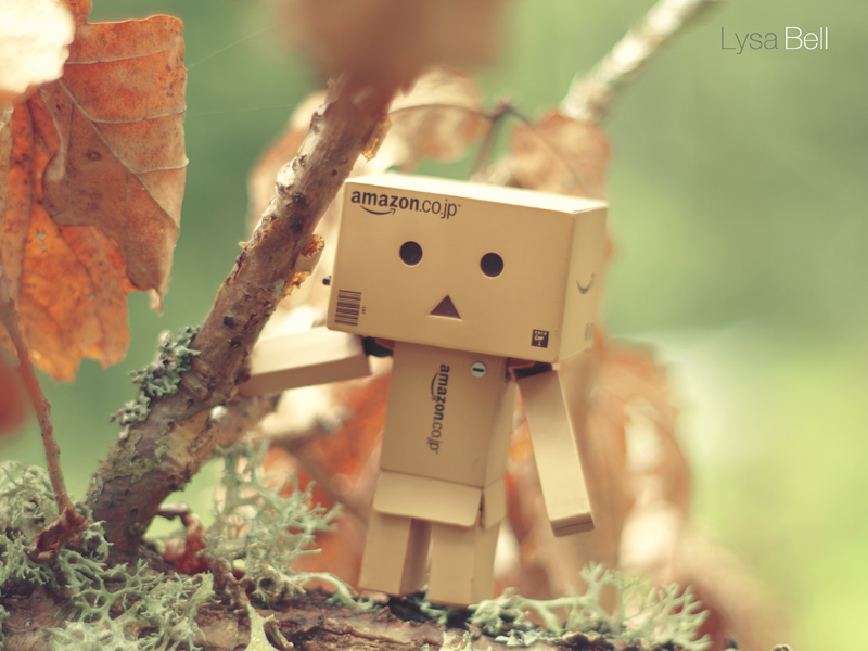 Danbo Fall Themed Feature - Danbo by serel on DeviantArt
