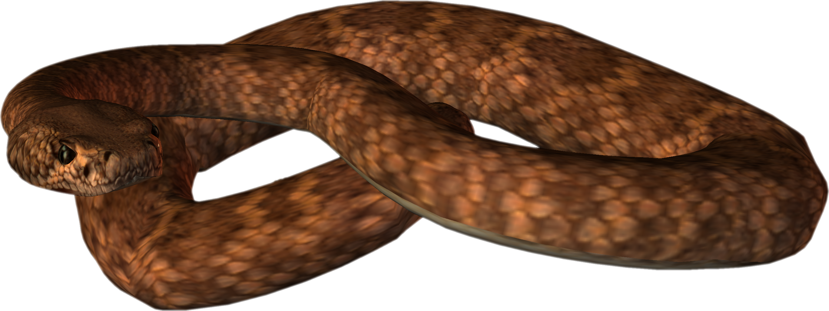 PNG Snake