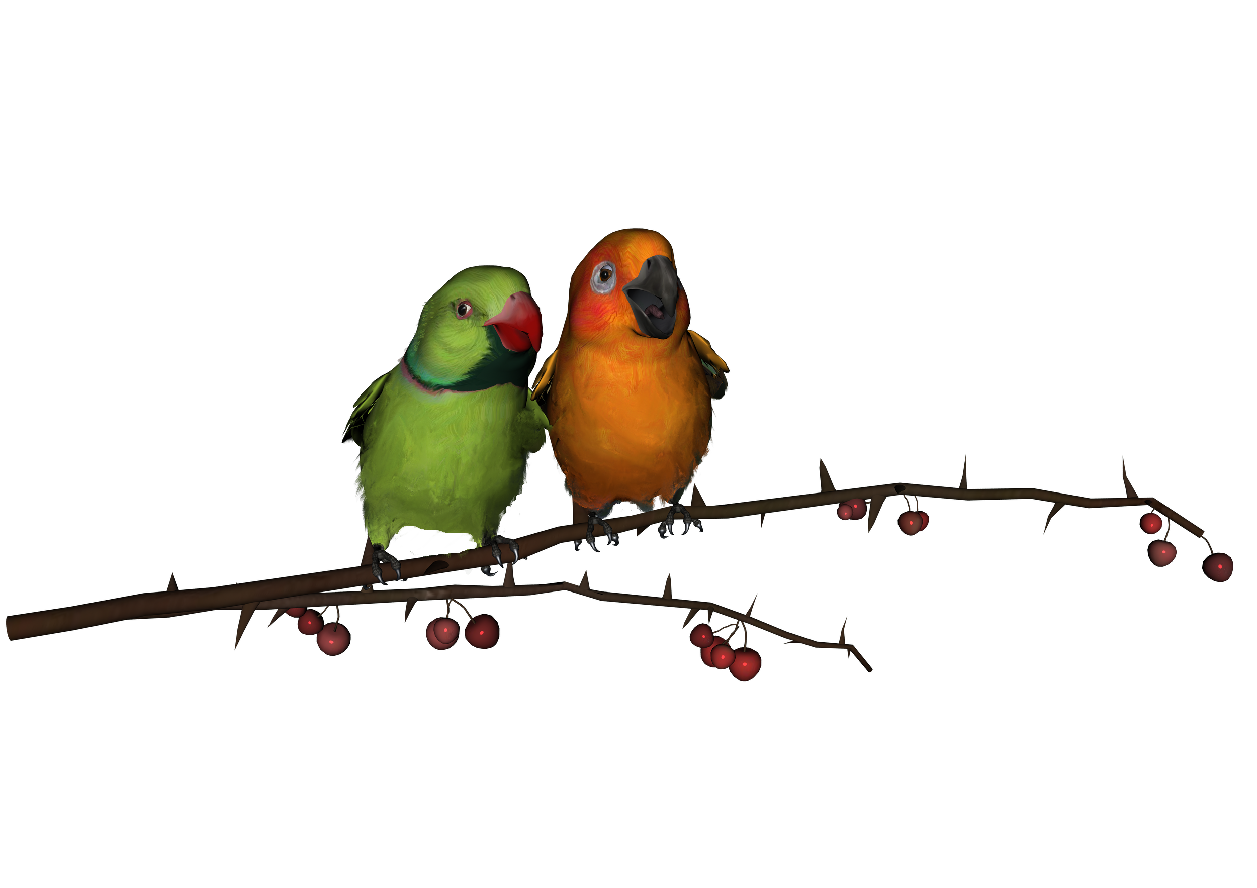 PNG Bird 3