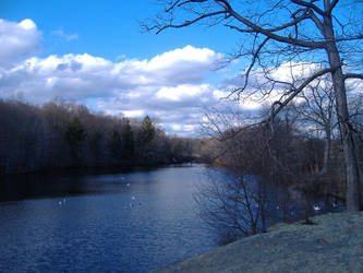 Young's Pond