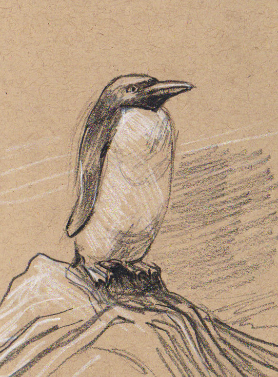 sketching: small Penguin