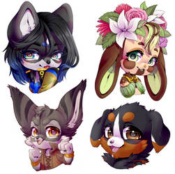 50% off flash headshot sale