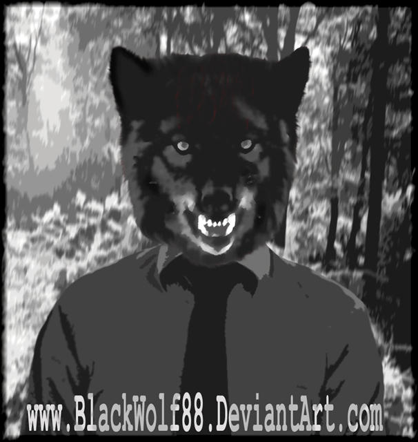 Black Wolf by BlackWolf88 on DeviantArt