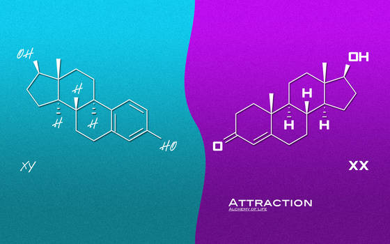 Alchemy Of Life - Attraction