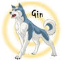 Gin