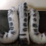 Snow Leopard Tail - Commissions Open