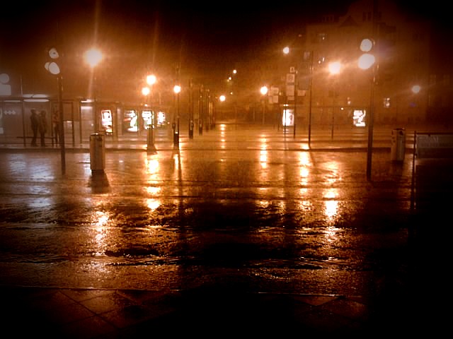 Bus stop in a rainy night