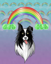 Do border collie dream of tennis ball rainbows?