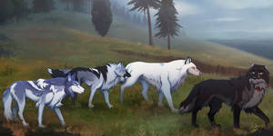 WSV Gunnar | Coastal Patrol