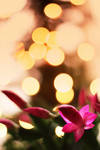 Shhh Bokeh by HeinzAlex