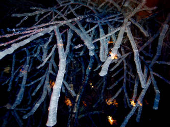 Mystical Ice Branches