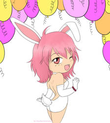 Birthday Bunny