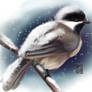 Chickadee (v2)