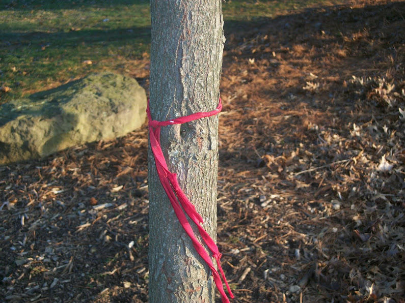 Tattered Ribbon by Yozane on DeviantArt