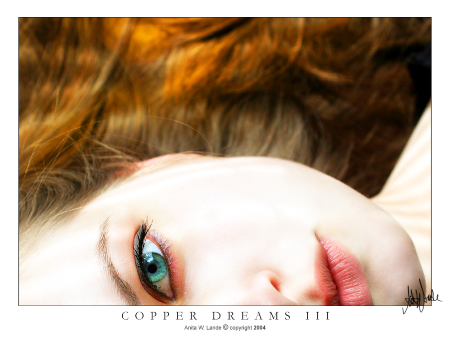 Copper Dreams III