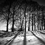Winter Landscapes 05