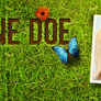 Mother Nature FB Timeline Cover - Buy Now!
