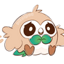 Rowlet Doodle