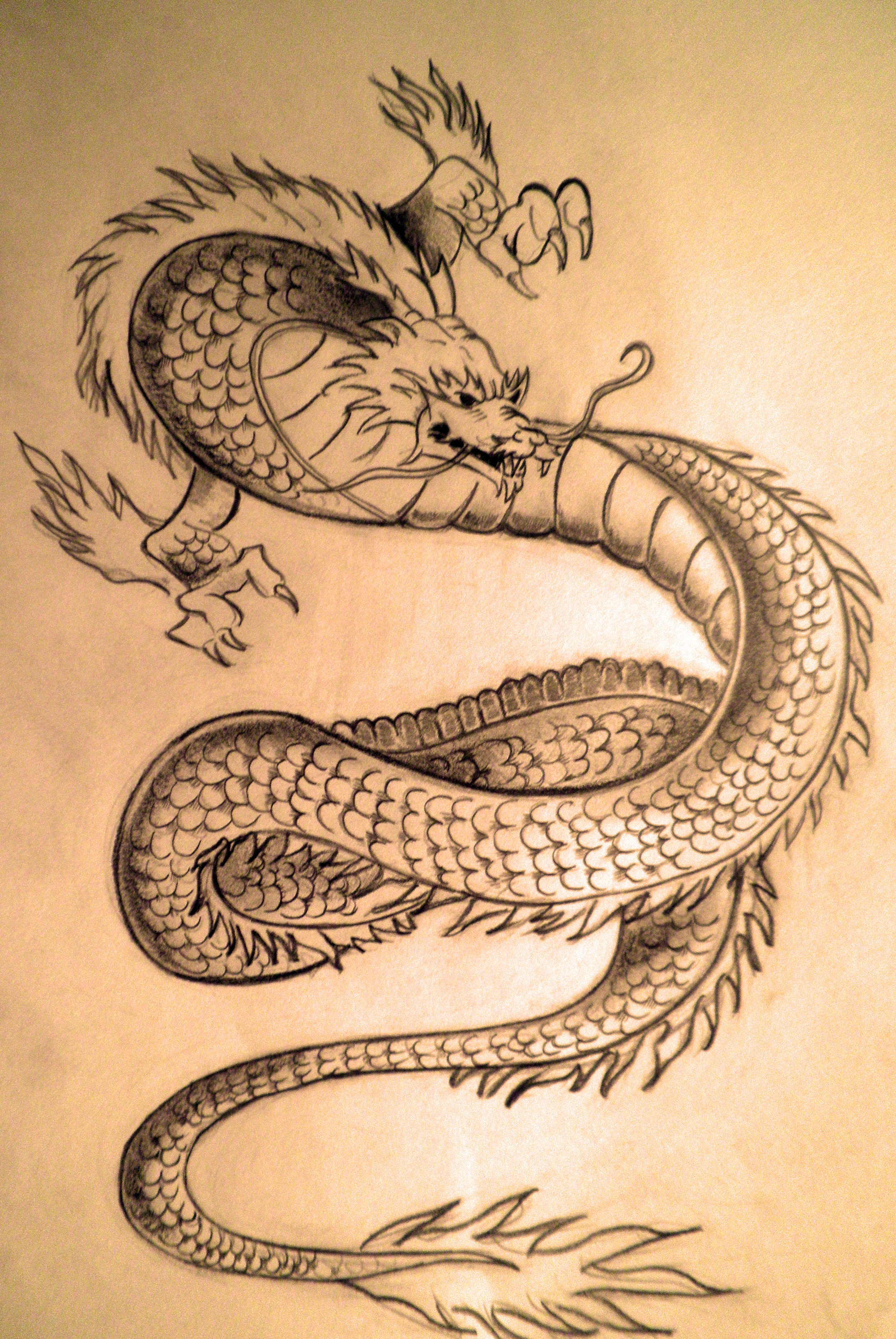 Japanese Traditional Dragon by rizb0 on DeviantArt