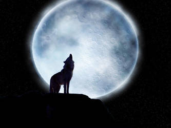 wolf by Yorvig