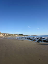 Down the Rocky Shore