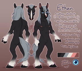 Ethan (OC ref)