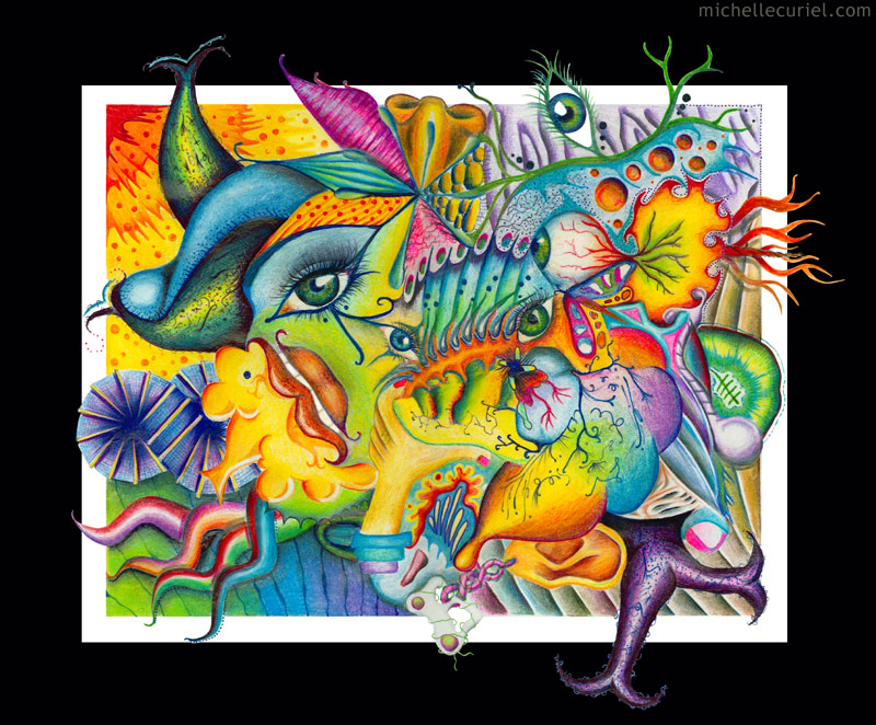 Sense-sational by artisticalshell