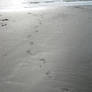 Footprints