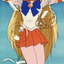 Sailor Venus gagged 02