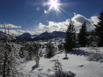 lac des sarailles