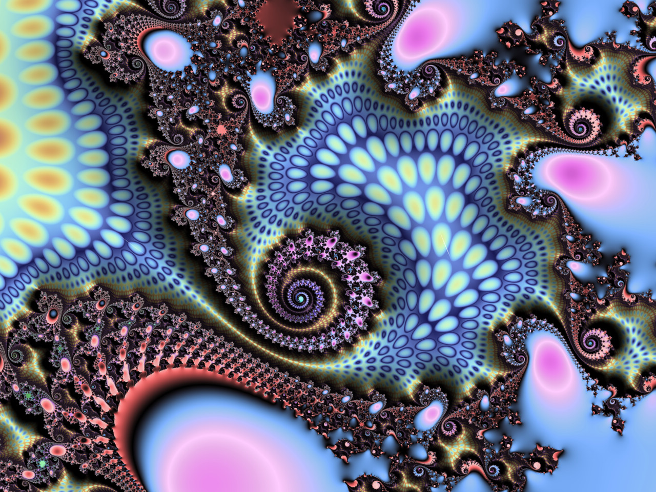 Mandelbrot Set 05152026
